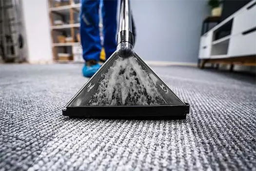 Carpet Cleaning